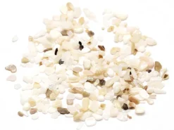 50 grammes de fragments de coquillages pour Jesmonite - 2-3 mm