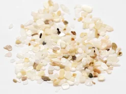 50 grammes de fragments de coquillages pour Jesmonite - 2-3 mm