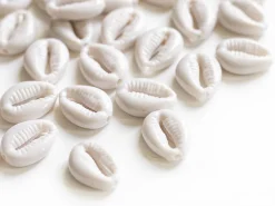 50 perles coquillages cauri en plastique - blanc