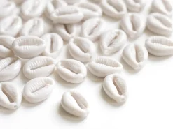 50 perles coquillages cauri en plastique - blanc