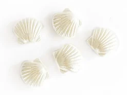5 perles coquillages en plastique