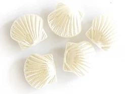 5 perles coquillages en plastique