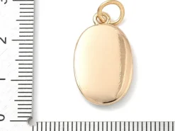Breloque ovale motif crabe imprimée - laiton doré