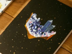 Duo de Carnets A6 Curiosity - ATWS