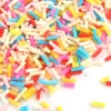 Faux vermicelles très fins - couleur flashy pour pâte fimo ou résine -10g