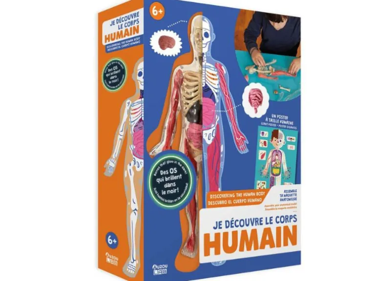 Je découvre le corps Humain - Auzou lab'