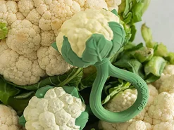 Jouet de dentition Hochet bébé Cauliflower le Chou - Oli&Carol