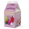 Kit Amigurumi - Mes légumes - Graine Créative
