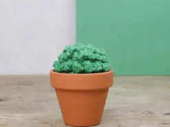 Kit crochet - Cactus