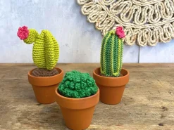 Kit crochet - Cactus