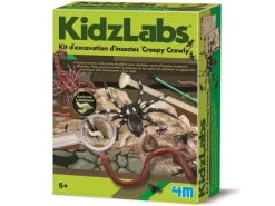 Kit DAM - Déterre tes insectes - Creepy Crawly