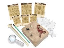 Kit DAM - Déterre tes insectes - Creepy Crawly