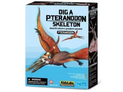 Kit DAM - Déterre ton dinosaure - Pteranodon
