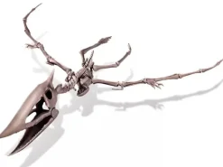 Kit DAM - Déterre ton dinosaure - Pteranodon