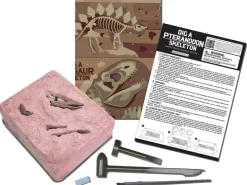 Kit DAM - Déterre ton dinosaure - Pteranodon