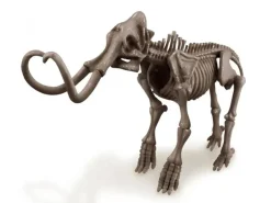 Kit DAM - Déterre ton dinosaure - Mammouth