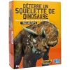 Kit DAM - Déterre ton dinosaure - Triceratops