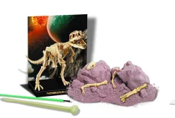 Kit DAM - Tyrannosaure Rex 22 x 17 cm