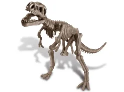 Kit DAM - Tyrannosaure Rex 22 x 17 cm