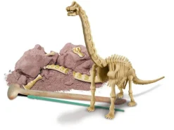 Kit DAM- Déterre ton dinosaure - Brachiosaure