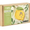 Kit DIY Jesmonite Vide-poches Citron