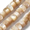 Lot de 20 perles colonnes 6 mm - Coquille de trochid naturelle
