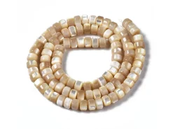 Lot de 20 perles colonnes 6 mm - Coquille de trochid naturelle