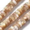 Lot de 20 perles heishi naturelles 6 mm - Coquille de trochid