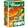 Mako moulages : Tyrannosaure