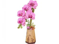 Maquette fleur miniature - Orchidée papillon violette (Purple Moth Orchid) - Rowood