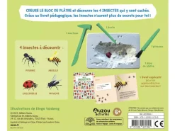 Mes insectes à déterrer - Auzou