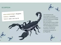 Mes insectes à déterrer - Auzou
