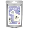 Mini Kit FIMO - Ours blanc
