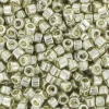 Miyuki delicas 11/0 - Galvanized silver 35