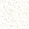 Miyuki Delicas 11/0 - Matte ab white 351 irisé
