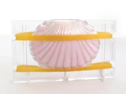 Moule en plastique - Bougie grand coquillage