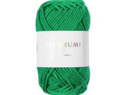 Pelote Ricorumi coton DK - Vert (49)