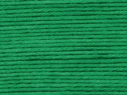 Pelote Ricorumi coton DK - Vert (49)