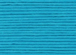 Pelote Ricorumi coton DK - Bleu ciel (31)