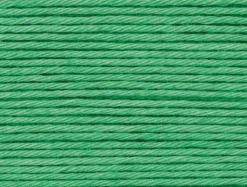 Pelote Ricorumi coton DK - Vert herbe (44)