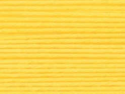 Pelote Ricorumi coton DK - Jaune (06)