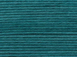 Pelote Ricorumi coton DK - Pétrole (40)