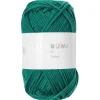 Pelote Ricorumi coton DK - Lierre (43)