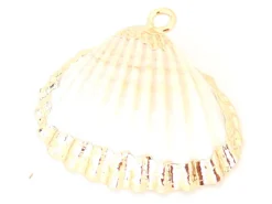 Pendentif coquillage coquille 25 mm- bordure dorée