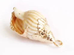 Pendentif véritable coquillage conque avec détails dorés - 23 mm