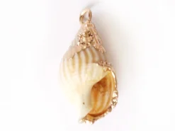Pendentif véritable coquillage conque avec détails dorés - 23 mm