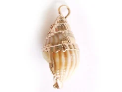 Pendentif véritable coquillage conque avec détails dorés - 23 mm