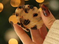 Pince à cheveux Coquillage Écaille