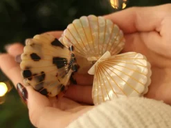 Pince à cheveux Coquillage Écaille
