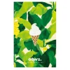 Pin’s Ice cream - ATWS